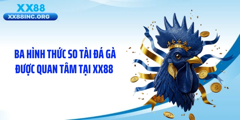 Ba hình thức so tài đá gà được quan tâm tại XX88