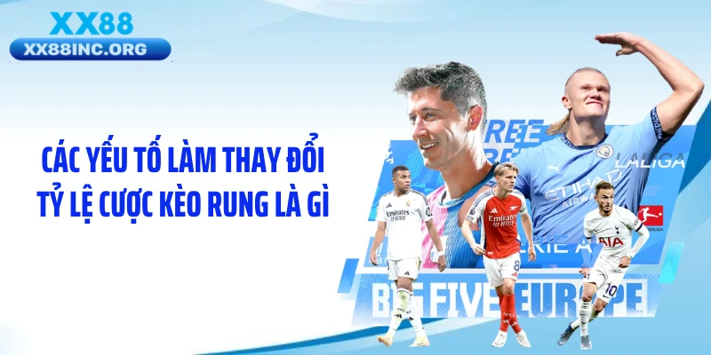 Các yếu tố làm thay đổi tỷ lệ cược kèo rung là gì