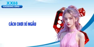 Cách Chơi Xí Ngầu Chuẩn Giúp Nâng Tỷ Lệ Thắng Mỗi Ván