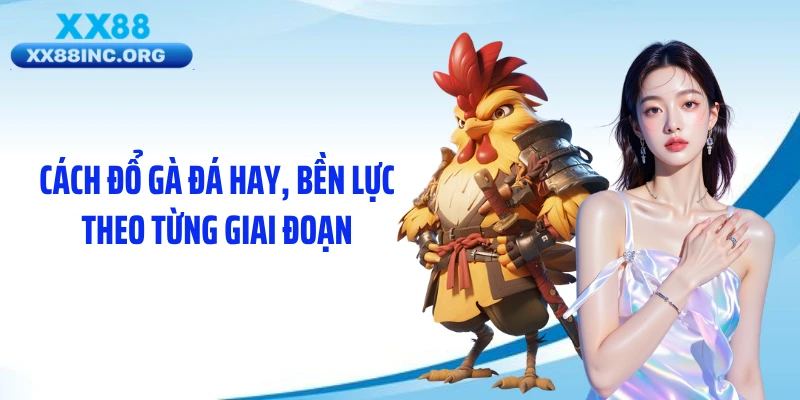 Cách đổ gà đá hay, bền lực theo từng giai đoạn