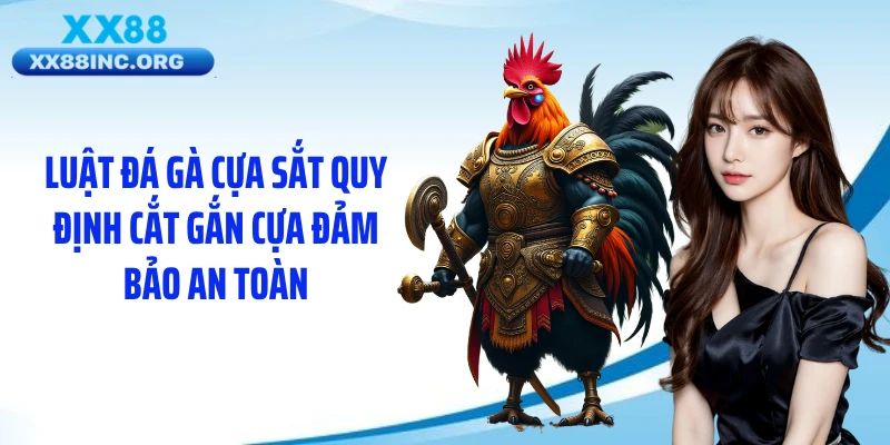Luật đá gà cựa sắt quy định cắt gắn cựa đảm bảo an toàn