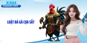 Luật Đá Gà Cựa Sắt Chuẩn Quốc Tế - Bí Quyết Áp Đảo Kèo Đấu