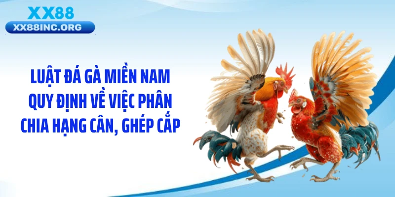 Luật đá gà miền Nam quy định về việc phân chia hạng cân, ghép cắp