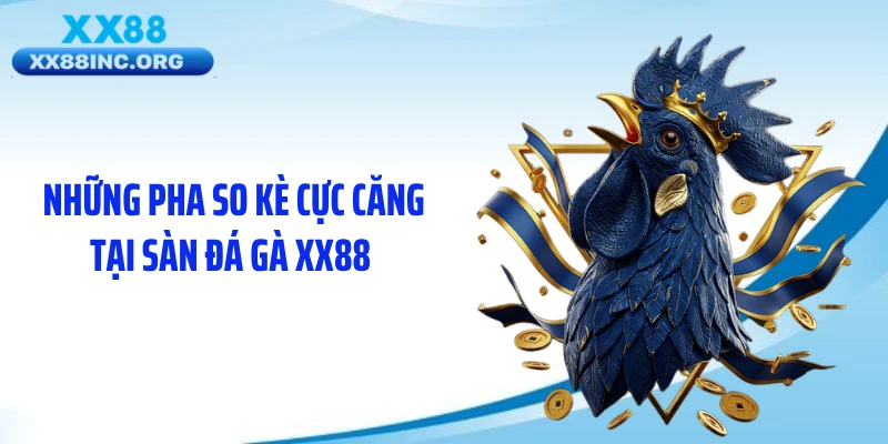 Những pha so kè cực căng tại sàn đá gà XX88